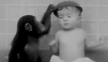 Boy forced to grow up alongside a chimpanzee after family carried out bizarre experiment