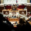 Budget : à l’Assemblée nationale, le double 49.3 de François Bayrou pour ouvrir une « semaine de vérité et de responsabilité »