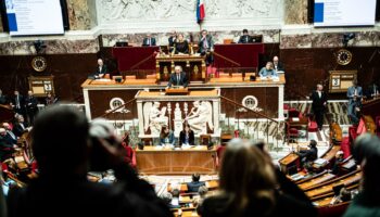 Budget : à l’Assemblée nationale, le double 49.3 de François Bayrou pour ouvrir une « semaine de vérité et de responsabilité »