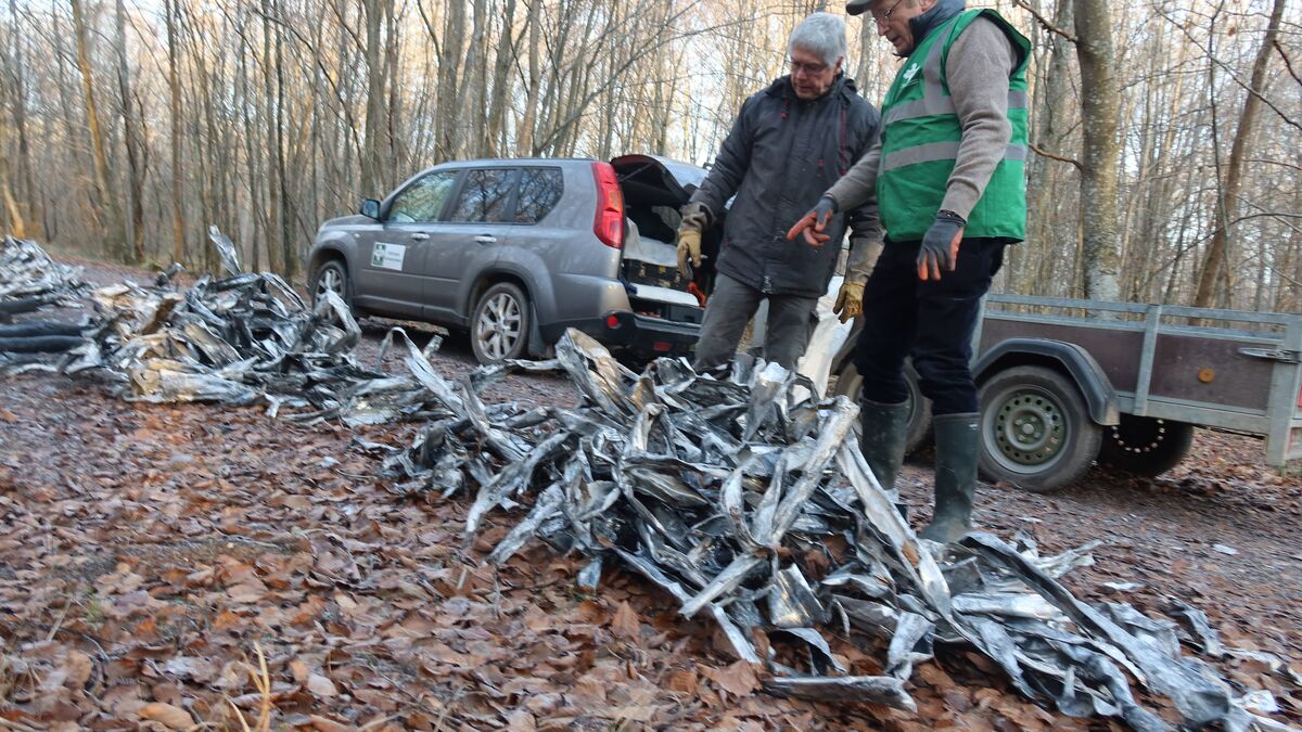 Câbles en aluminium, Caddies et bourriches d’huîtres : opération nettoyage en forêt de Compiègne