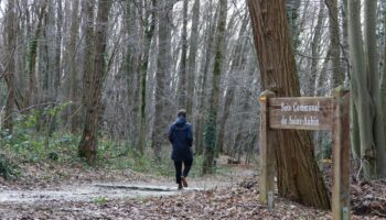 « C’est lui que l’on recherchait à l’époque » : derrière le meurtre d’un homme en 1990 en Essonne, l’ombre du Grêlé