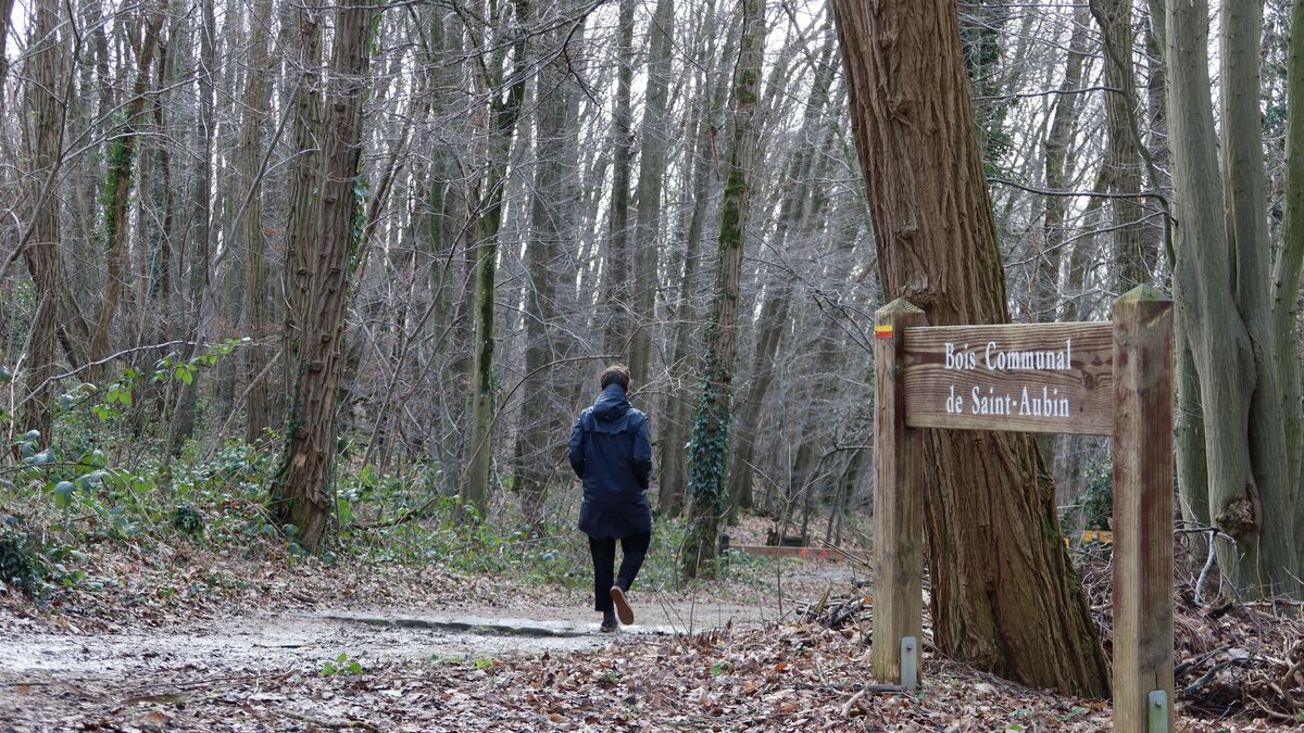 « C’est lui que l’on recherchait à l’époque » : derrière le meurtre d’un homme en 1990 en Essonne, l’ombre du Grêlé