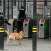 "C'est totalement inacceptable": Nouvelle fusillade liée au trafic de drogue à Bruxelles