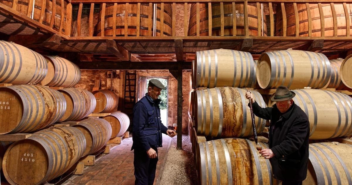 «C’est une urgence absolue»: la filière du cognac demande le soutien de la France face à la Chine et aux États-Unis