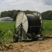 Combien d’eau les agriculteurs consomment-ils pour leur irrigation ? L’État condamné pour manque de transparence