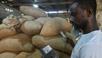 Côte d’Ivoire : des odeurs de cacao et de contrebande