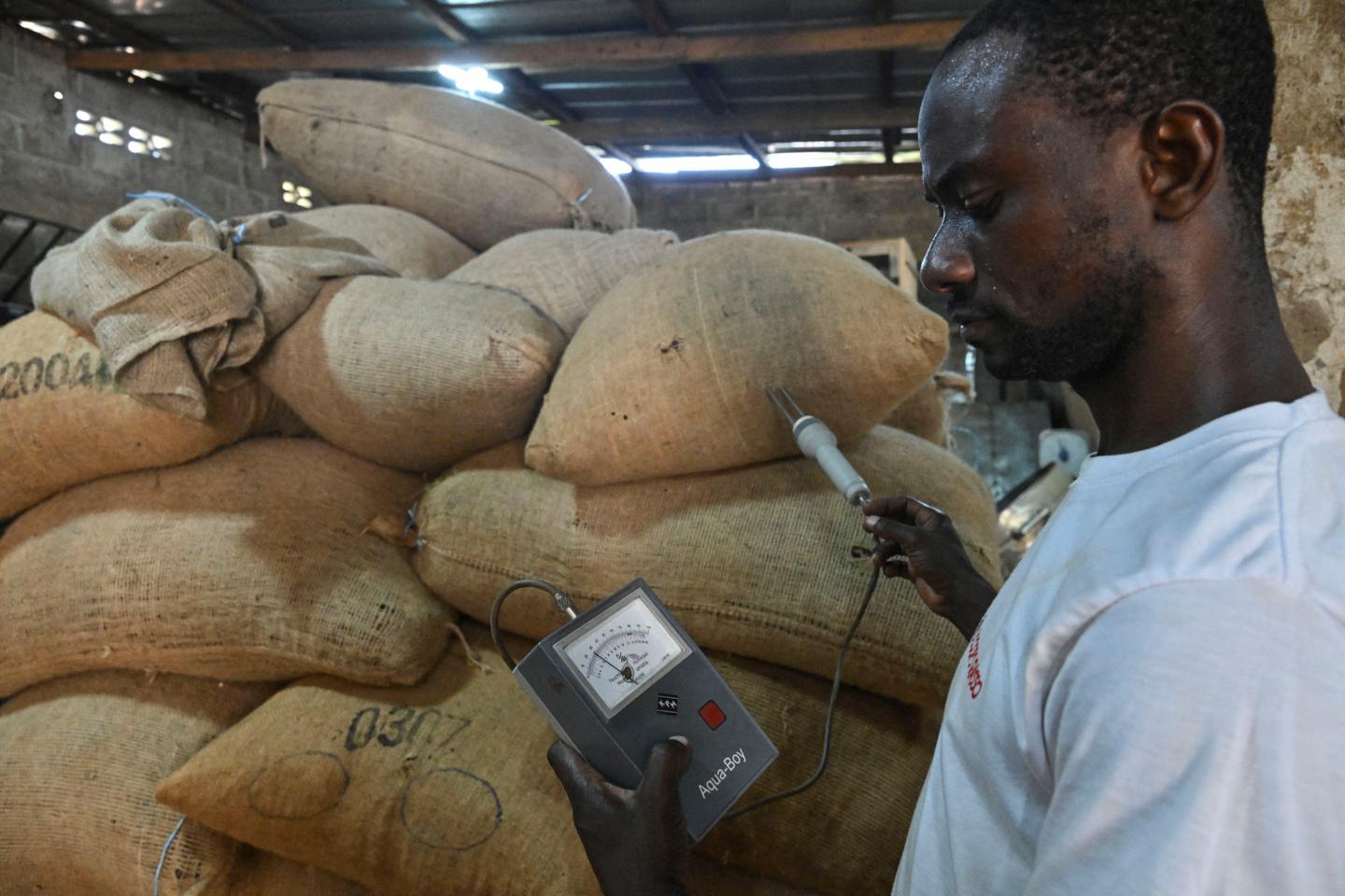 Côte d’Ivoire : des odeurs de cacao et de contrebande