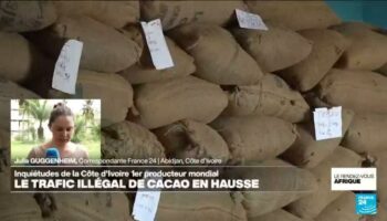 Côte d'Ivoire : le trafic illégal de cacao en hausse