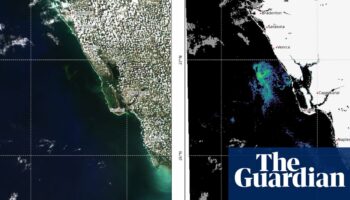 DeSantis urged to declare emergency over toxic red tide algae off Florida coast