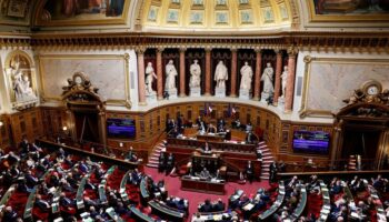 Définitivement adopté après le vote du Sénat, que contient le budget de l'État pour 2025 ?