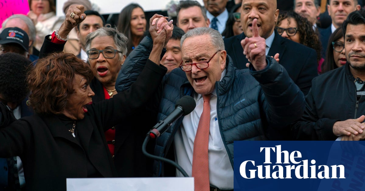 Democrats join protest against Musk’s ‘hostile takeover’ of federal payment systems