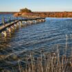 Dérèglement climatique : le procès du sel ou le projet fou d’un chercheur pour sauver la Camargue