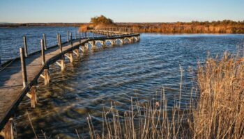 Dérèglement climatique : le procès du sel ou le projet fou d’un chercheur pour sauver la Camargue