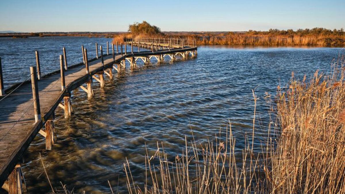 Dérèglement climatique : le procès du sel ou le projet fou d’un chercheur pour sauver la Camargue