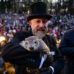 Did Punxsutawney Phil see a shadow on Groundhog Day 2025?