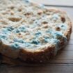 Doctor reveals why you should never eat 'clean' part of mouldy bread