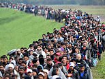 EU plans to overhaul policy that forces nations to take in asylum seekers after report admits many migrants do NOT integrate and form separate communities that ignore European values