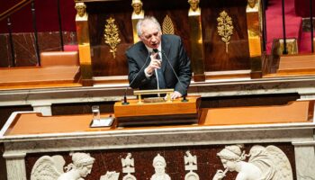 En direct, budget 2025 : François Bayrou a déclenché deux fois l’article 49.3