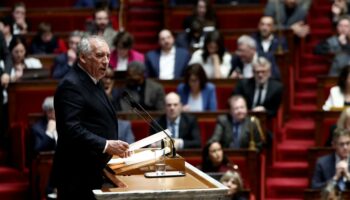 En direct, budget 2025 : François Bayrou annonce qu’il va avoir recours à l’article 49.3 de la Constitution pour faire adopter les budgets de l’Etat et de la Sécurité sociale