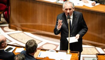 En direct, budget 2025 : François Bayrou doit recourir au 49.3 cette après-midi