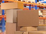 Evri admits it will lose 22,000 UK parcels EVERY day