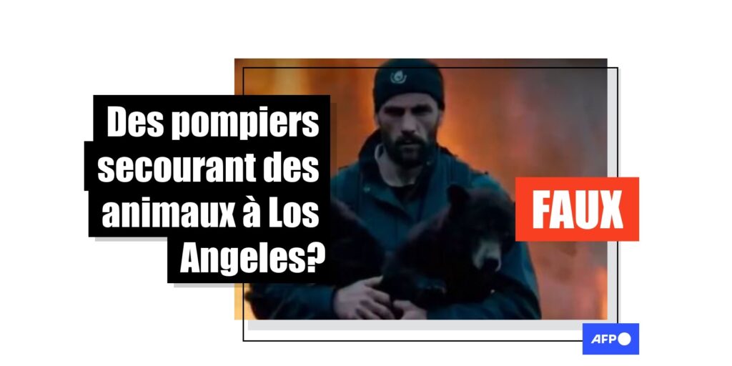 Fact check: Une vidéo de pompiers sauvant des animaux des feux de Los Angeles générée par IA