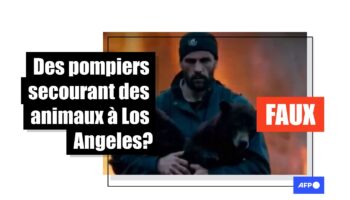 Fact check: Une vidéo de pompiers sauvant des animaux des feux de Los Angeles générée par IA