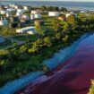 Fluss bei Buenos Aires führt blutrotes Wasser