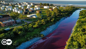 Fluss bei Buenos Aires führt blutrotes Wasser