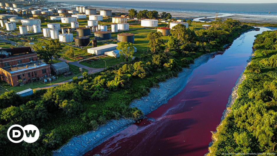 Fluss bei Buenos Aires führt blutrotes Wasser