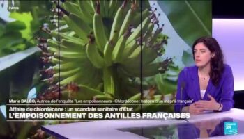 France : l'affaire du chlordécone aux Antilles françaises, un scandale sanitaire d'État