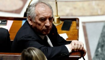 «François Bayrou est le plus grand rentier de la vie politique»: les indiscrétions du Figaro Magazine