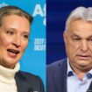 German election: Hungary's Orban hosts AfD leader Weidel