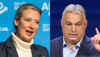 German election: Hungary's Orban hosts AfD leader Weidel