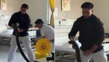 Giant seven-foot python as thick as man's arm found slithering around hospital ward