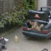 Google Maps' most wild action shots from naked man in car boot to murder clue