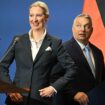 Hungary's Orban hosts Germany's AfD leader Alice Weidel