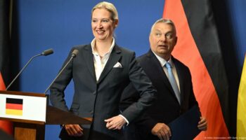 Hungary's Orban hosts Germany's AfD leader Alice Weidel