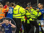 Inside the Goodison Park chaos: This is what REALLY happened as Everton and Liverpool went to war with a tunnel row, pizza and the real reason why Arne Slot was sent off