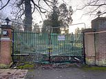 'It's awful living here!': Wealthy homeowners on billionaires row blast council over state of street full of rubbish-filled plots and abandoned mansions