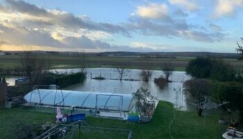 « J’ai peur pour notre maison » : à Mennecy, leurs jardins sont sous l’eau depuis des mois