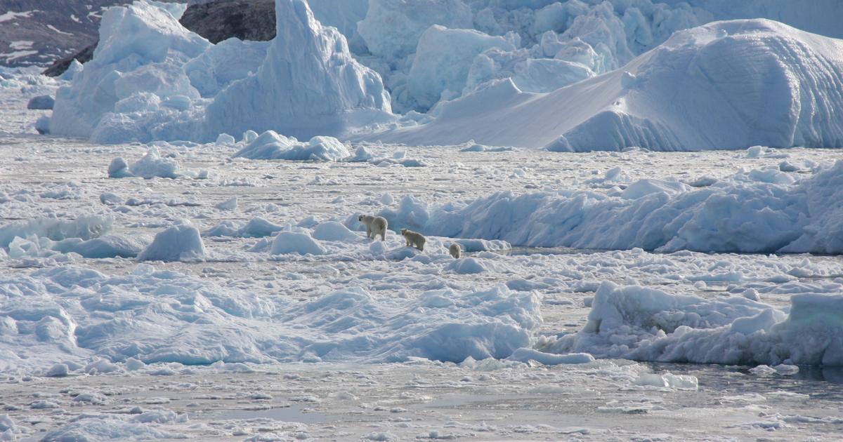 Janvier 2025 le plus chaud jamais mesuré dans le monde, nouveau record «surprenant»