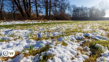 Klimaexperten: 2025 beginnt mit "überraschendem" Wärmerekord