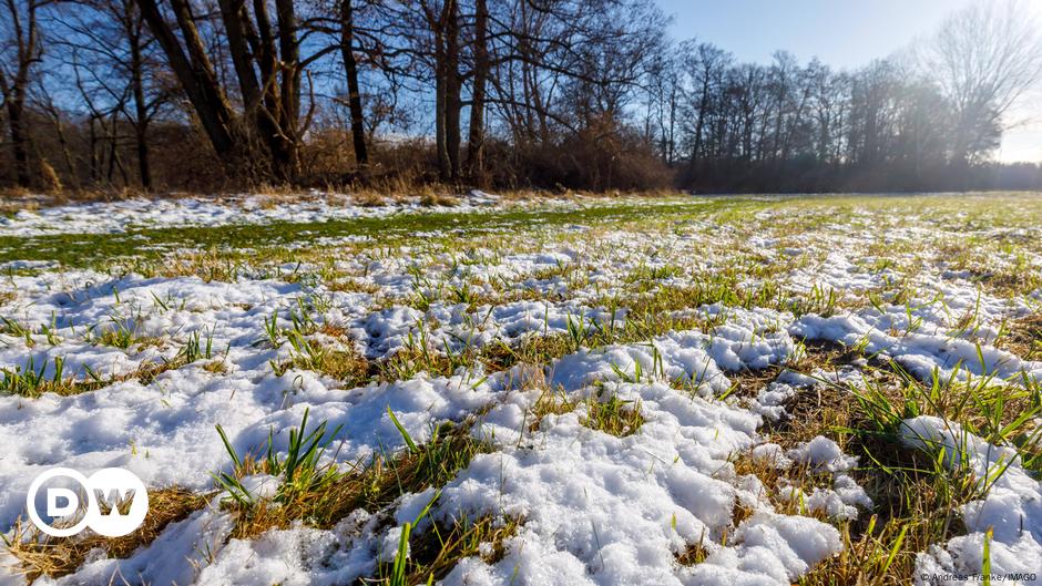 Klimaexperten: 2025 beginnt mit "überraschendem" Wärmerekord