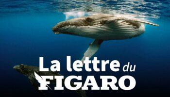 La lettre du Figaro du 7 février 2025