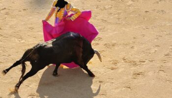 Landes : polémique après l’interdiction d’organisation de corridas par la mairie de Vieux-Boucau