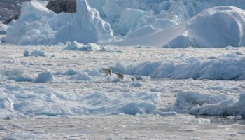 L'objectif de maintien du réchauffement sous 2°C «est mort», selon un éminent climatologue