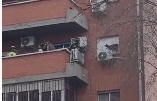 Los bomberos rescatan a una cabra atrapada en la ventana de un quinto piso en Villaverde: nadie sabe cómo llegó allí el animal