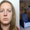 Lucy Letby convictions questioned again as doctor slams prosecution's 'interpretation' of his work