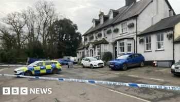 Manhunt after woman seriously injured at village pub